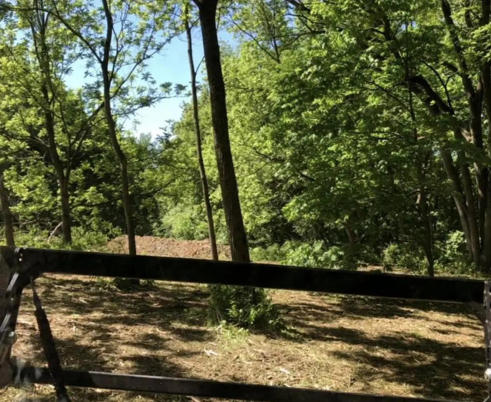 The same gate after clearing, with open ground and standing timber behind it