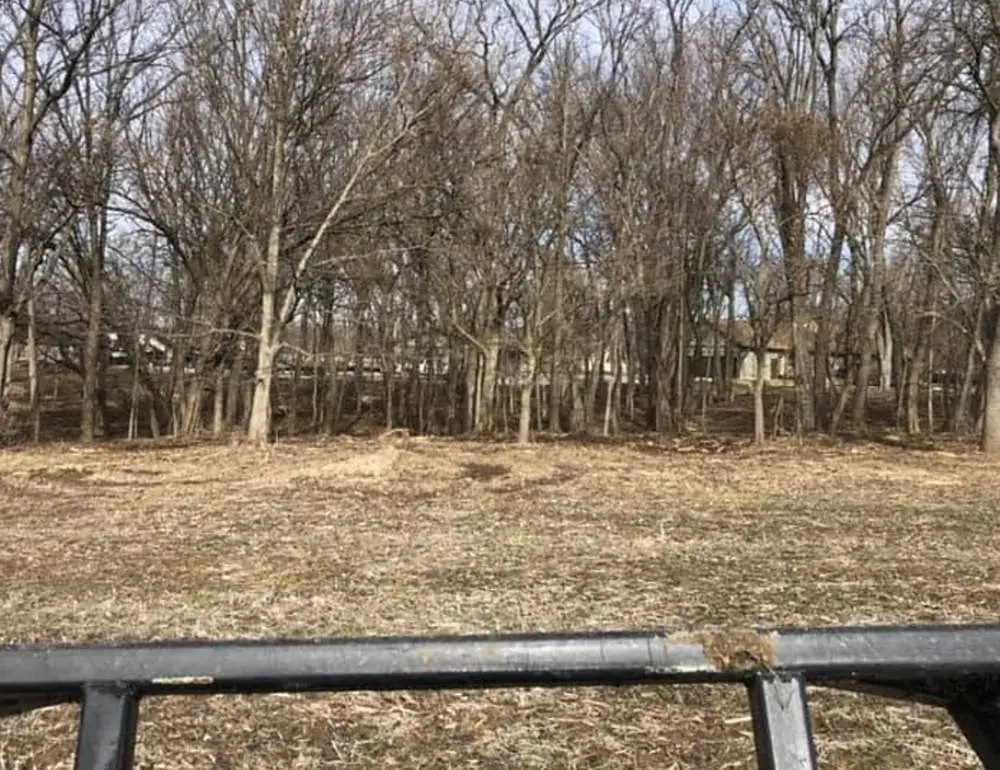 Timber opened up and left covered in mulch after land clearing