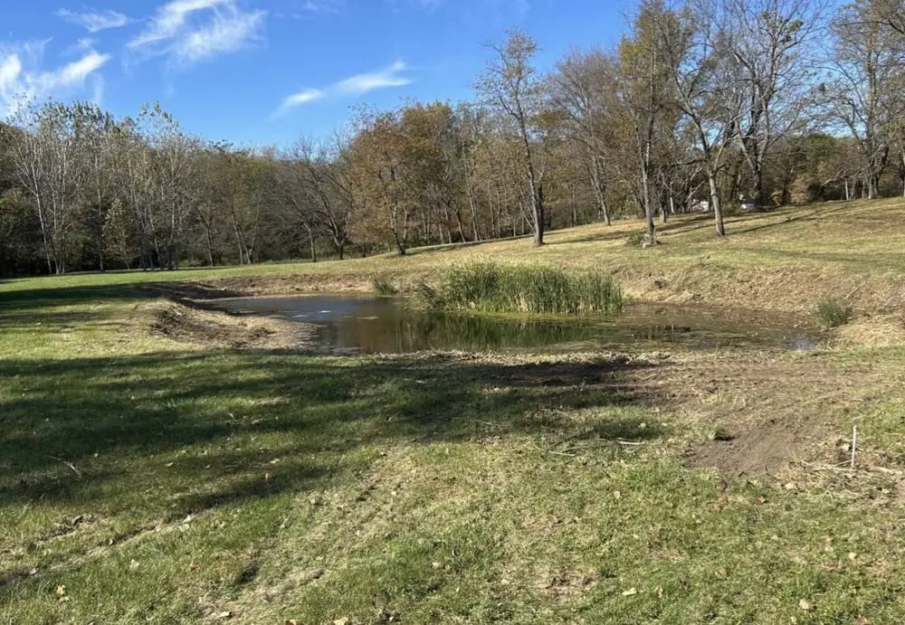 Finished pond holding water with grassed banks and standing timber behind