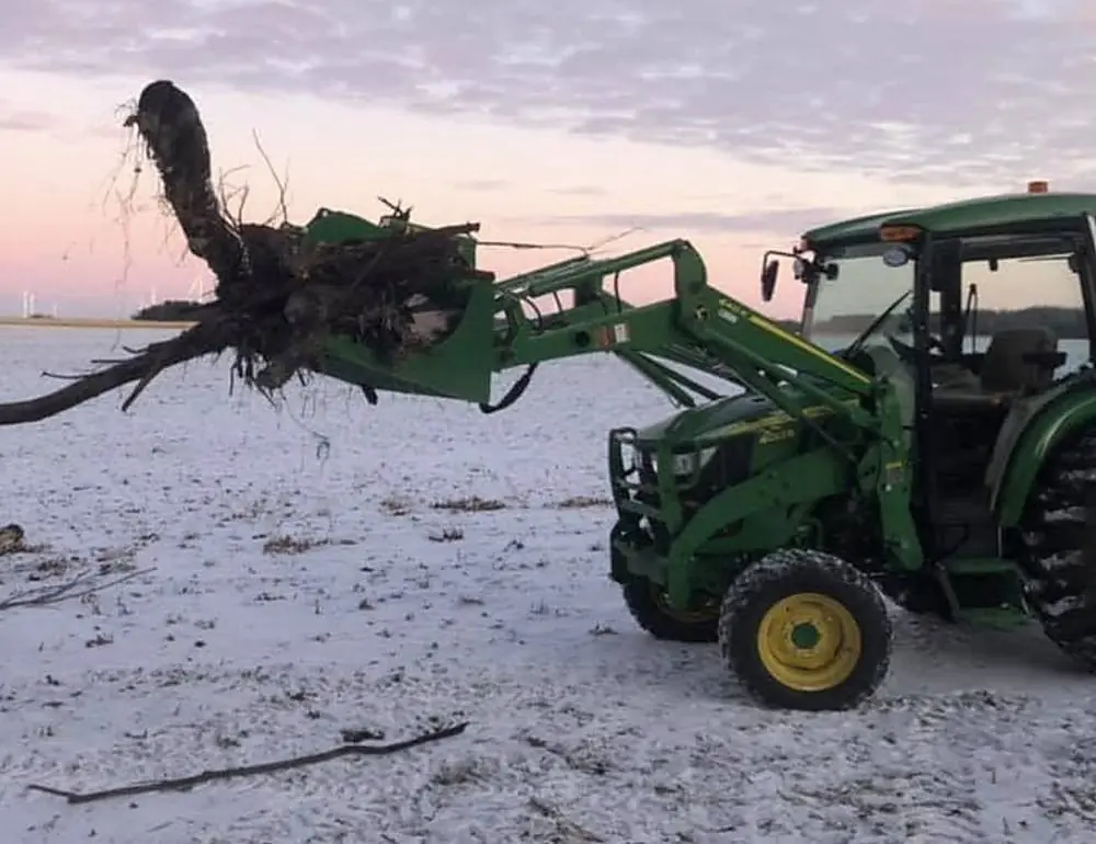 Tractor lifting a large stump and root ball out of a snow-covered field at sunset
