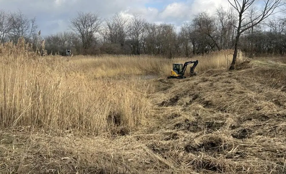 Mini excavator clearing a grassed waterway through tall dead growth